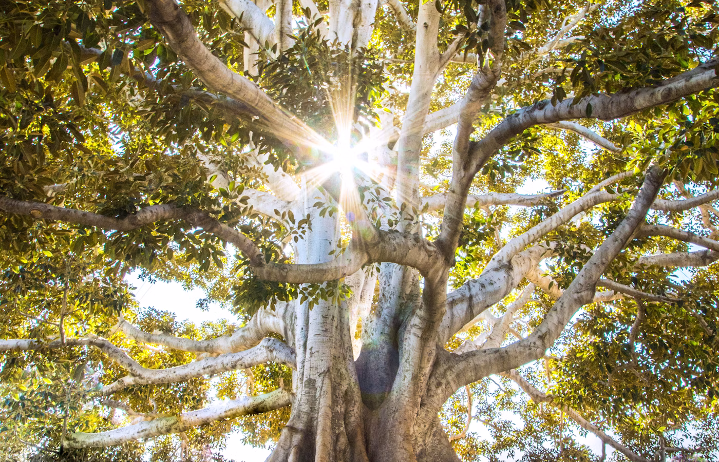 Восстановление энергии для руководителя